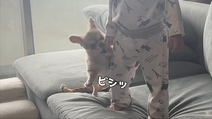 気づいてほしくてパンチ！