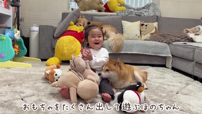 おもちゃで遊ぶほのちゃん