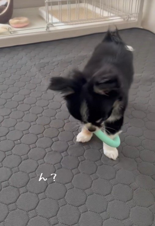 「ん?引っかかっちゃった…」