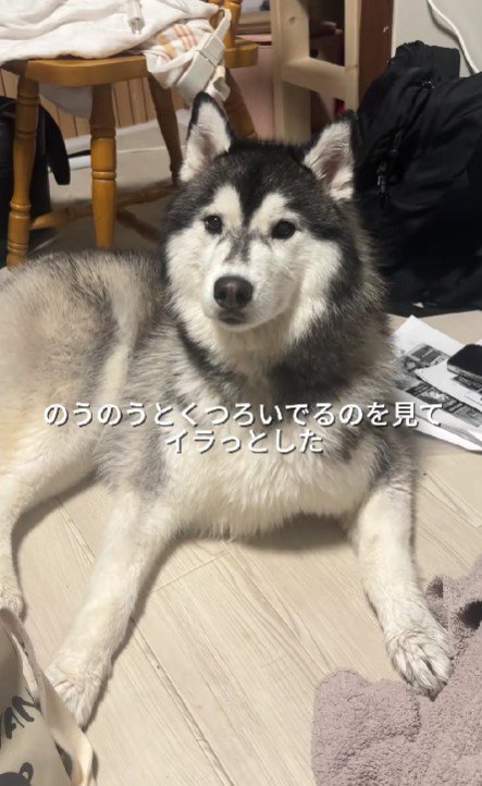 自由すぎる姿もかわいい♡