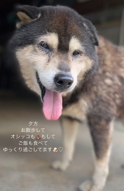 家族の元へ戻れました！