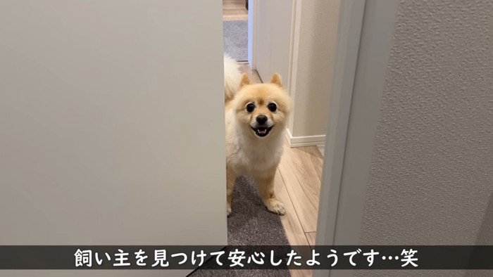 ドアから顔を出して笑う犬