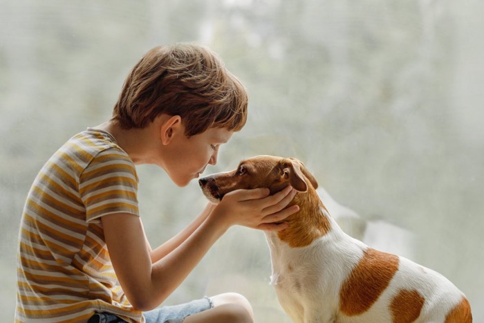 男の子と犬