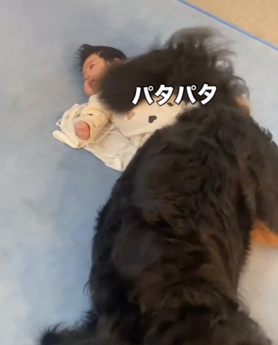 赤ちゃんのそばで尻尾を振る犬