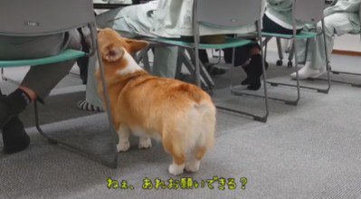 「なでて」