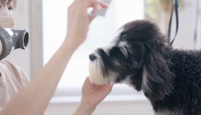 だんだんフワフワに