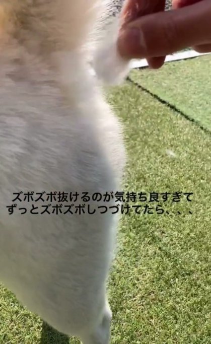 引っこ抜く