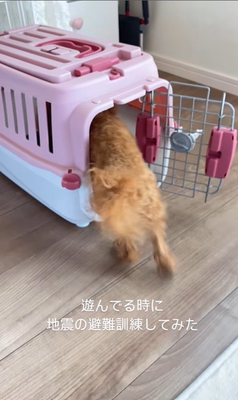 なこちゃんの避難訓練4