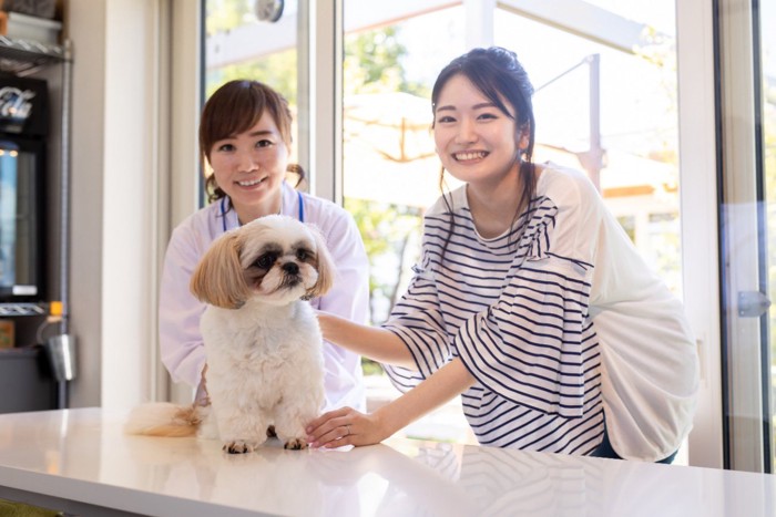 獣医さんと飼い主さんと犬