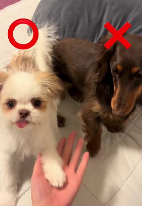 おても届かない…