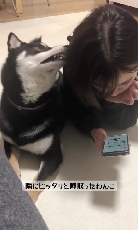 「撫でて」と控えめにアピール