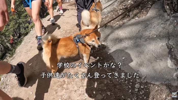 下山中、学生さんたちに遭遇