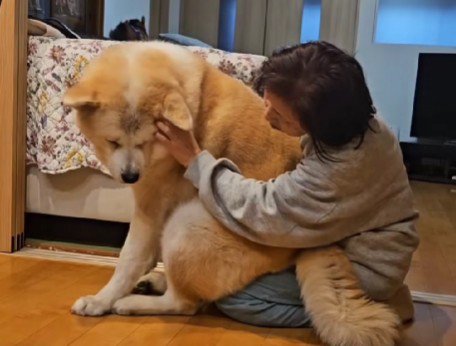 ギャップが愛おしい…