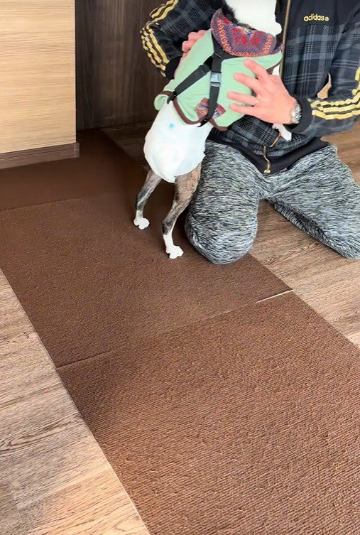 「もう1回やって～」