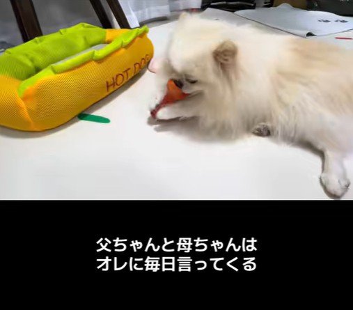 木ノ葉丸くんとの出会い9