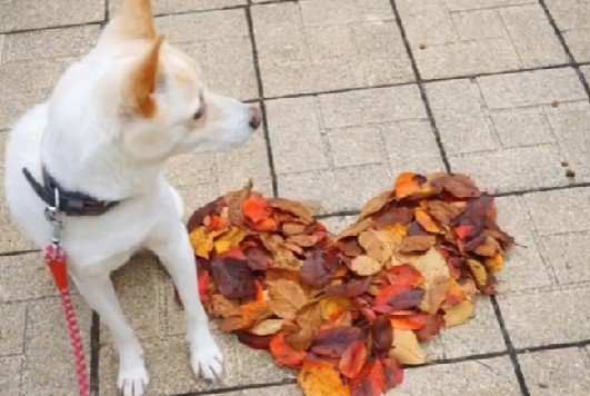 自然と触れ合ったり…