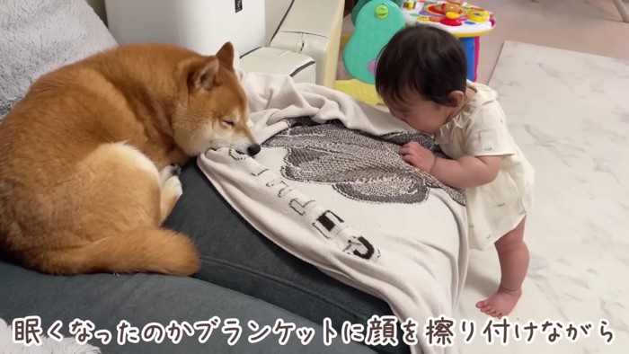 うにくんと一緒に寝たい…！