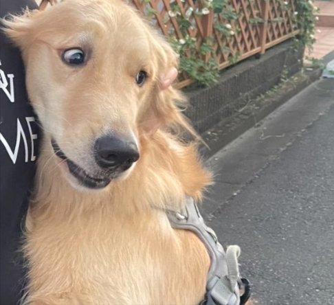 苦手な人