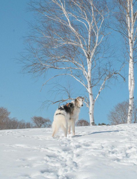 ポージングも完璧♪