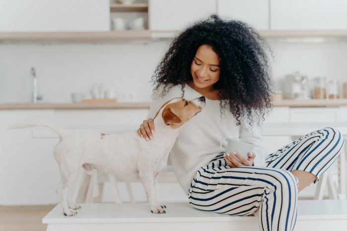 犬を撫でる女性