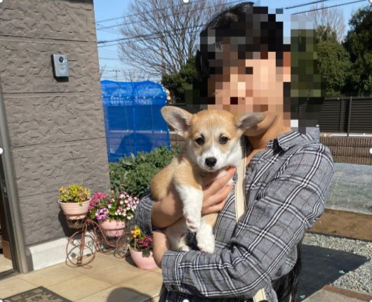 お迎え当時