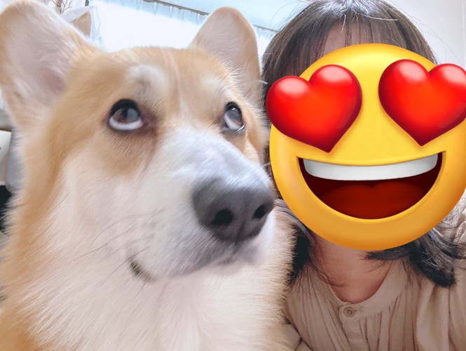 盛れなかった写真