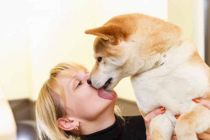 飼い主の口元を舐める犬