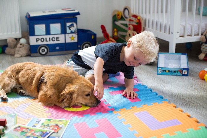 犬の鼻を触る子供