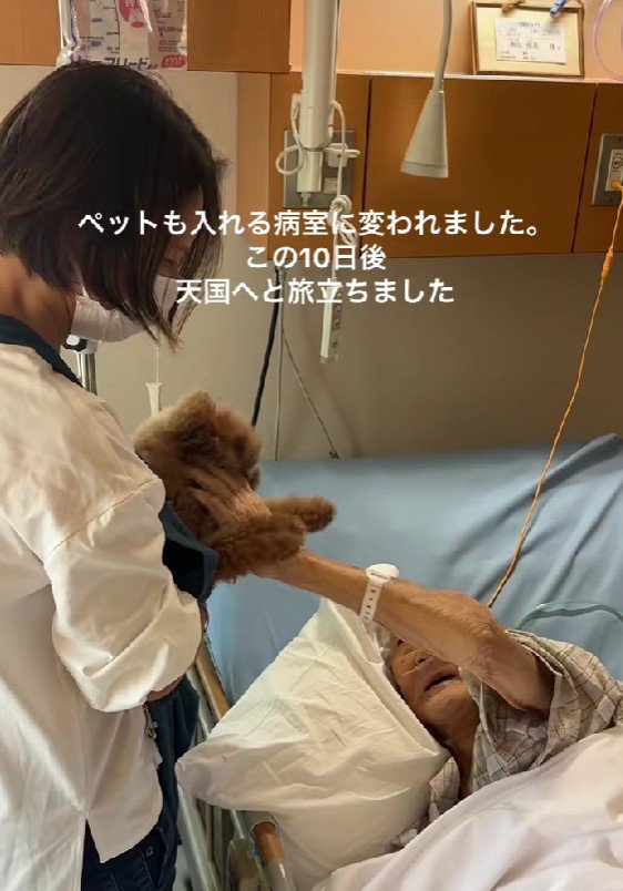 シェリーちゃんも大興奮！！