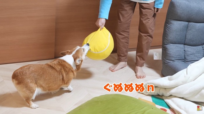 仲良く遊んでいる2人