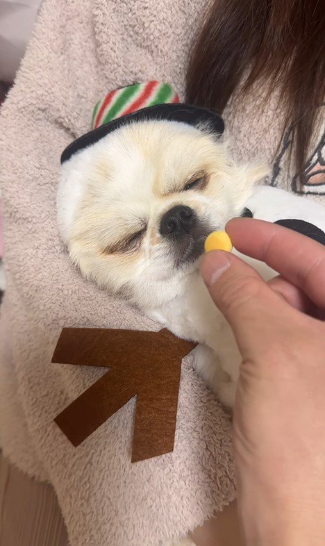 ぽてと君の瞬発力2