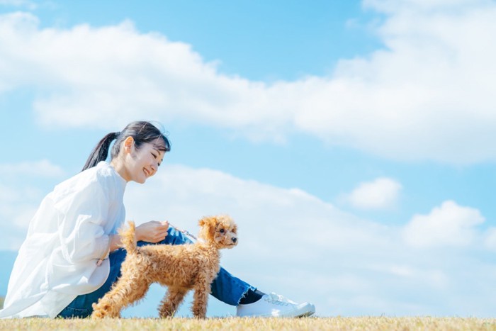 青空の下の女性と犬