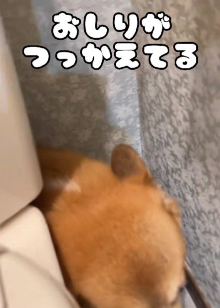 お尻がつっかえちゃった!!