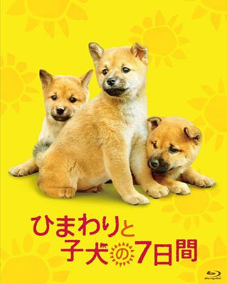 ひまわりと子犬の7日間