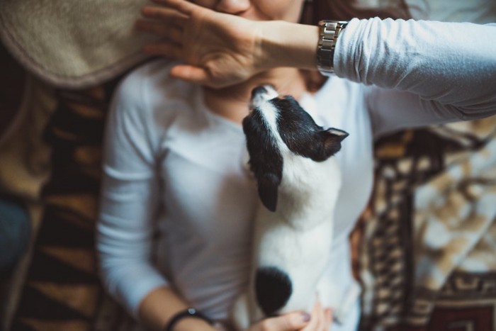 飼い主の上に乗って顔を舐めようとする犬