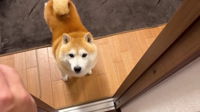 「また行っちゃうの…？」