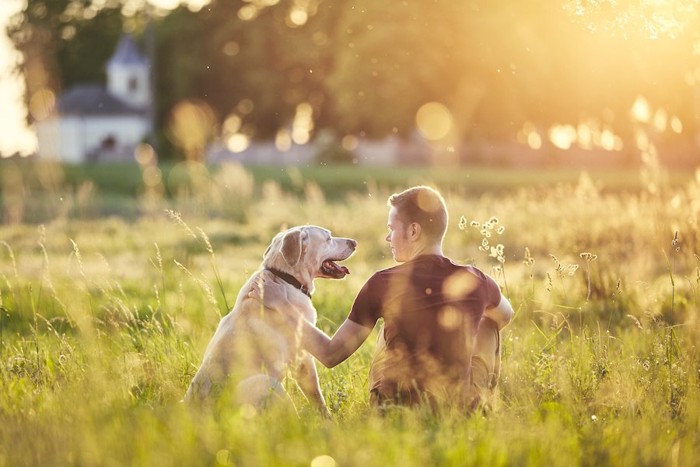 夕焼けの中で寄り添って座る男性と犬