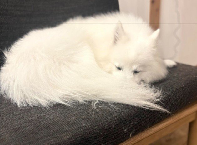 神々しい姿にうっとり…