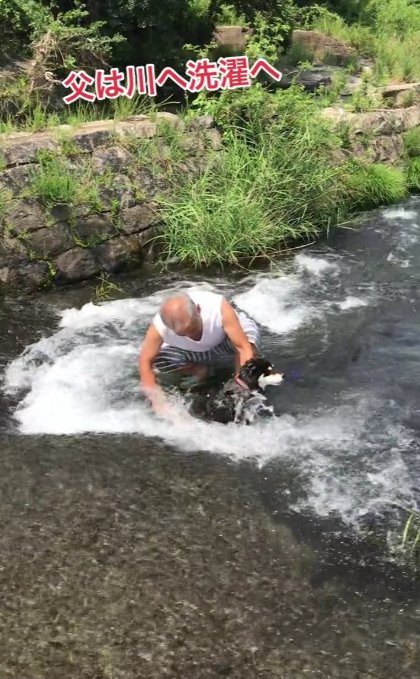 夏の恒例行事