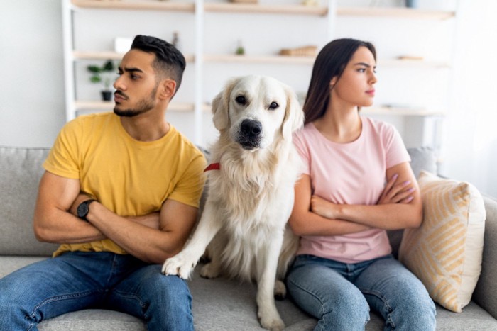 喧嘩中のカップルと犬