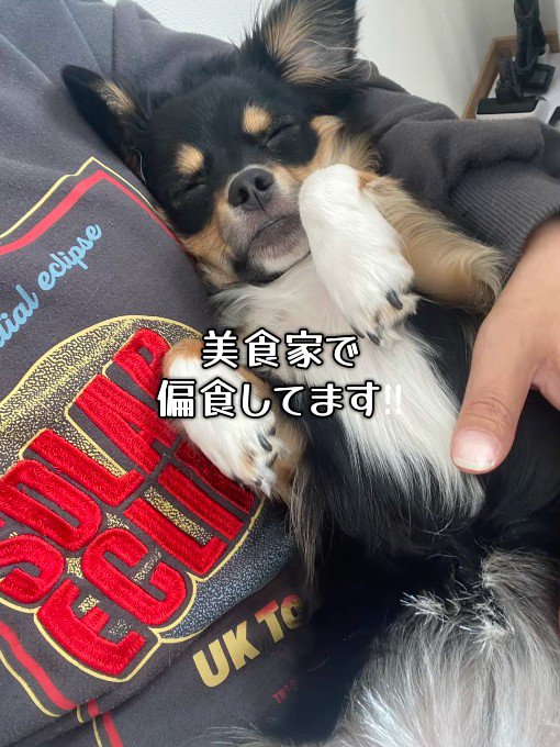 まさかの診断結果！