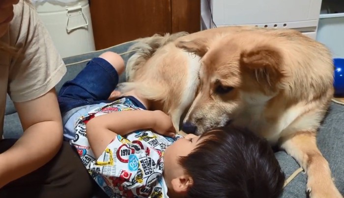 男の子に顔を近づけるもっぴーちゃん