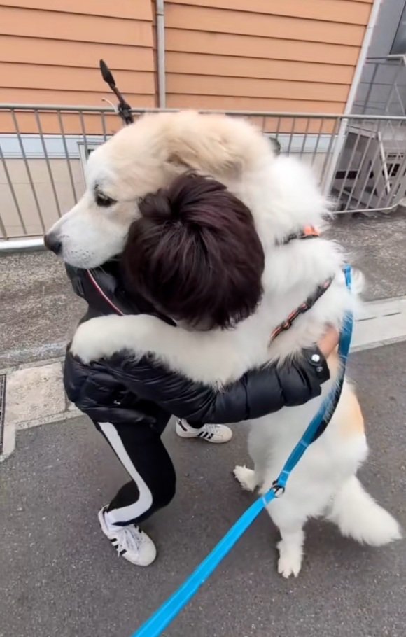 必死にこらえるパパ