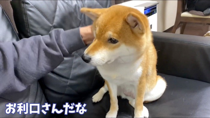 おじいちゃんに褒められる犬