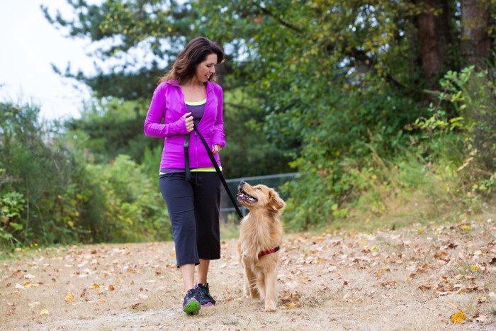 アイコンタクトを取りながら歩く女性と犬