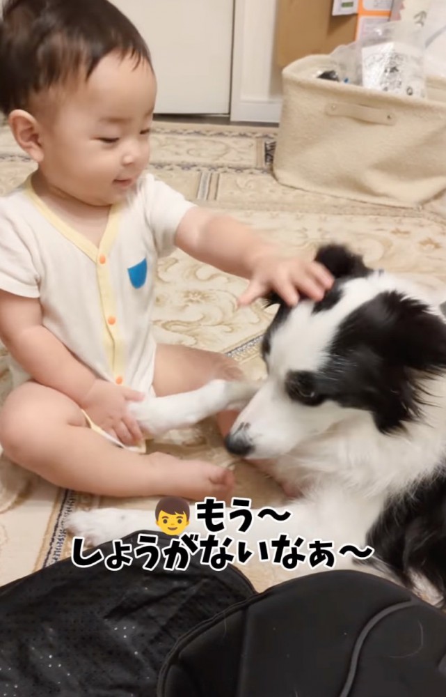 犬の頭を撫でる