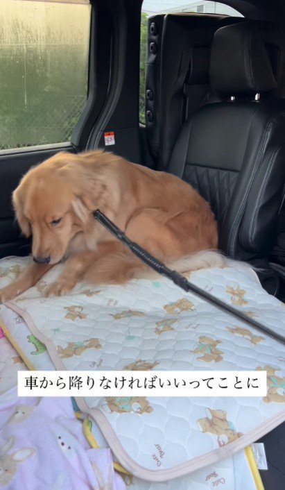「僕は…」