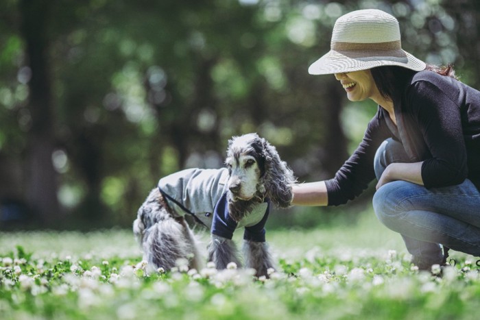 草むらに立つ高齢犬と女性