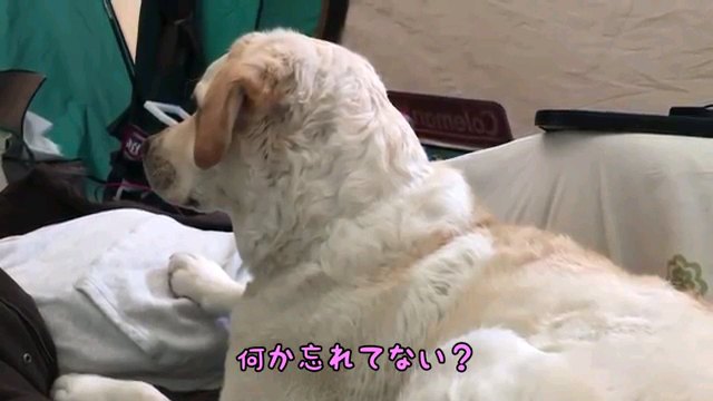 何か～字幕