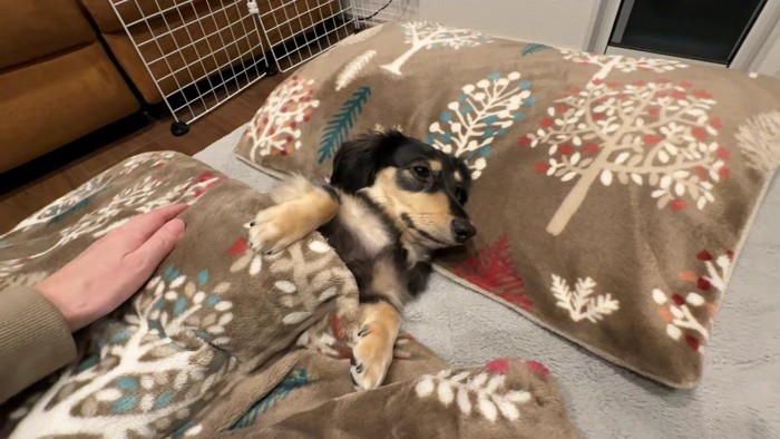 徐々に瞼が落ちていく…